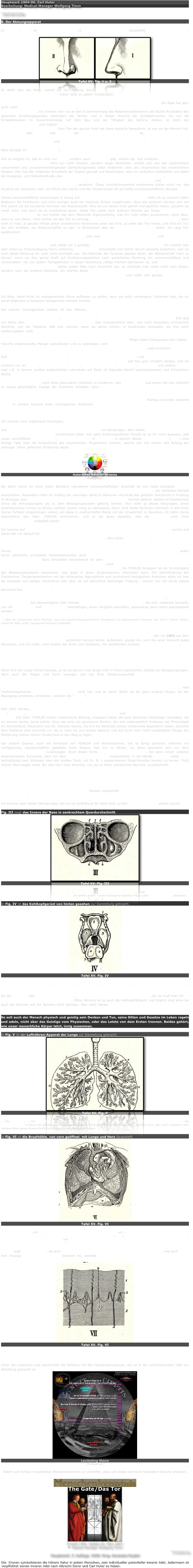Hauptwerk 1904-06. Carl Huter
Bearbeitung: Medical-Manager Wolfgang Timm

FORTSETZUNG

B. Der Atmungsapparat

In Tafel XV, Fig. 1, ist die Nase in der Seiten-, in Fig. 2 in der Vorderansicht dargestellt. Die Nase ist das äußere, also das Peripherie-Hauptorgan der inneren Lungenatmung.
￼￼
Tafel XV  Fig. 1 u. 2

Es steht also die Nase, soweit sie zur Atmung dient, mit dem gesamten inneren Atmungs-Apparate in unmittelbarem Zusammenhange. Daher wird es jedem verständlich, daß ich Kraft und Schwäche der Atmung, Gesundheit und Krankheit der Lunge an ganz untrüglich sicheren Merkmalen gewisser Teile der unteren Nase in meinen öffentlichen Demonstrationsvorträgen seit mehr denn 20 Jahren festgestellt habe. Die Nase hat aber auch noch viele andere Erkennungszeichen, die auf die physische Beschaffenheit und Betätigung anderer Organe Bezug haben, ich erinnere hier nur an den Zusammenhang des Nasenwurzelknochens als letzten Ausläufers des gesamten Knochenapparates, besonders der Wirbel- und in letzter Hinsicht der Schädelknochen. Da nun die Schädelknochen im Zusammenhange mit dem Bau und der Tätigkeit des Gehirns stehen, so steht der Nasenwurzelknochen und folglich ein Teil der Nasenbildung im innigsten Zusammenhange mit dem Gehirn- und Geistesleben des Menschen. Kein Tier der ganzen Erde hat diese typische Nasenform, so wie sie der Mensch hat. Die Nase zeigt also physisch und psychisch die spezifisch menschlichen Merkmale an, durch welche der Mensch über die Tierwelt hinausragt. Je edler und schöner und gesünder die Nase ist, desto edler sind Kraft, Gesundheit, Gefühl, Charakter und geistiger Adel, die dem Träger innewohnen.

Mehr darüber im fünften Lehrbriefe!

Wie es möglich ist, daß es nicht nur Ärzte, sondern auch Anatomen gibt, welche die  hier erklärten Bedeutungen der Nasenformen und Zeichen nicht nur nicht kennen, sondern sogar bestreiten, erklärt sich aus der systematisch unkorrekten und unzusammenhängenden Darstellungsweise vieler Anatomen über den Organismus des menschlichen Körpers. Man hat alle möglichen Einzelteile der Organe gezeigt und beschrieben, also nur analytisch gearbeitet, und dabei die Ausgangs- und Schlußmethode, den Zusammenhang der Einzelorgane mit den Hauptapparaten, dann mit den Systemen und einzelnen Grundlebensprinzipien, aus denen die Einheit des Körpers und schließlich die Lebensindividualität zusammengesetzt ist, versäumt. Diese Unvollkommenheit erschwerte bisher nicht nur das Studium der Anatomie, nein, sie führte den Lehrer und den Studierenden oft auf völlig unwissenschaftliche Abwege.

Dieses wissenschaftliche Unvermögen in bezug auf die biologische-synthetische Anatomie habe ich zu meinem tiefen Bedauern bei Fachleuten und nicht weniger auch bei manchen Ärzten vorgefunden, denn die letzteren berufen sich auf ihre Lehrer als die berufenen Vertreter der Wissenschaft. Was sie von denen nicht gehört und gesehen haben, glauben sie meist nicht, und wenn sie es hundertmal sehen. Jedes Tier urteilt nach äußeren Zeichen der Dinge. Die analytische Forschungsmethode ist nun freilich das dem Menschen Eigentümliche, was ihn nicht selten auszeichnet; wehe aber, wenn er von dieser, nicht reicher als das Tier es vermag, zur synthetischen Schlußbetrachtung zurückkommt; dann sinkt er trotz, ja gerade infolge seiner analytischen Kenntnisse unter das Kind, ja unter das Tier herab, und wird ein Tor, der sich einbildet, ein Wissenschaftler zu sein, in Wirklichkeit aber an methodischem Mangel leidet. Ich sage hier ausdrücklich methodischer Mangel, weil solchem Wissenschaftler die einfachsten Wahrheiten der sichtbaren Tatsachen derart unzugänglich geworden sind, und zwar trotz seiner Augen und Ohren und aller äußeren gesunden Sinne, weil die inneren Erkenntnissinne durch eine mangelhafte Lehrmethode in einem bestimmten Fach unausgebildet blieben und, leider sei`s geklagt, auch oft teilweise verminderwertet sind. Ich möchte hier aber eines zur Entschuldigung hierzu anführen, die Anatomie entwickelte sich bisher darum einseitig analytisch, weil sie nach dieser Richtung hin noch nicht erschöpft war. Die Mehrzahl der Forscher glaubte daher, der Wissenschaft mehr zu dienen, wenn sie ihre ganze Kraft auf Entdeckungsarbeiten nach analytischer Richtung hin zusammenfaßten und verwendeten. Da nun jedem Fachgelehrten in dieser Beziehung völlige Freiheit überlassen ist, und eine synthetisch-biologische Anatomie zu lehren bisher weder Sitte noch Vorschrift war, so arbeitete man meist nicht nach dieser, sondern nach der anderen Richtung. Ich möchte daher meine Methode, welche ich hier lehre, zum Nutzen aller Anatomiestudierenden und Ärzte zur Aufnahme dringend empfehlen und hoffe und glaube, daß auch die Regierungsorgane und die Fachmänner der Hochschulen nicht die letzten sein werden, diese herrliche Wissenschaft, die uns die Grundsteine zur wissenschaftlichen Menschenkenntnis liefert, endlich mit der hier kurz gezeichneten synthetisch-biologischen Methode zu vervollkommnen.

Ich bitte, diese Kritik im wohlgemeinten Sinne auffassen zu wollen, denn sie stellt vorhandene Tatsachen fest, die ich durch folgendes zu beweisen Gelegenheit nehmen möchte.

Auf meinen Vortragsreisen erlebte ich des öfteren, daß diese einfachen Tatsachen des anatomischen und physiologischen Zusammenhangs von Nase und Lunge, Mund und Magen, kurz die einfachste anatomische und physiologische Physiognomik, zu meiner größten Verwunderung vielen Ärzten unbekannt war. Das gab mir daher den Anlaß zur Herausgabe dieses Werkes. Das Unangenehme aber, was mich besonders schmerzlich berührte, war die Tatsache, daß sich manche, wenn sie davon hörten, in Ausdrücken bewegten, die hier nicht wiederzugeben sind. Daß diese letzteren entweder an partieller oder an periodischer wissenschaftlicher Minderwertigkeit litten, das wurde mir zur Gewißheit. Große Ärzte und Gelehrte haben dafür in anerkennenswertester Weise meine Sache stets gefördert und empfohlen. Mögen diese Darlegungen den Zweck - manche eingewurzelte Mängel aufzudecken und zu beseitigen, und die Spezialanalyse der Anatomie zur höheren Zweckerkenntnis des Lebens, zur synthetisch-biologischen Methode zurückzuführen - bald erreichen!

Daß nach dieser Richtung große Ärzte, z.B. HUFELAND, KERNER, CARUS u.a., und auch neuere Meister der analytischen Methode in der Anatomie den besten Willen gezeigt haben, soll hier gern erwähnt werden, und ich erinnere nur an HENLE, BOCK, RECLAM, HIRTL, von ZIMMERMANN, LOMBROSO, LUSCHKA und andere. HIRTL sagt z.B. in seinem großen anatomischen Lehrwerke auf Seite 19 folgende höchst beachtenswerten und erfreulichen Worte:

"Ich kann nicht umhin, noch eines besonderen Vorteiles zu erwähnen, den die Chirurgie aus einem bei uns vielleicht zu wenig gewürdigten Zweige der Anatomie schöpfen kann - ich meine das Studium der äußeren Form des menschlichen Leibes. Da die äußere Form nur das Ergebnis der inneren Zusammensetzung ist, und wir von gewissen äußeren Anhaltspunkten auf den Zustand innerer Organe schließen, so wird die praktische Bedeutung dieses Zweiges der Anatomie keiner besonderen Empfehlung bedürfen." Richtig und schön bemerkt ROSS in seinem Versuch einer chirurgischen Anatomie: "Das Studium der äußeren Körperform bietet dem Chirurgen eine reiche, noch lange nicht erschöpfte Fundgrube dar - die allgemeinen Bedeckungen werden für ihn zu einem Schleier, der weit mehr durchsehen läßt als mancher vielleicht glaubt."

Ich möchte noch ergänzend hinzufügen, nicht nur der Chirurg, sondern auch jeder Arzt für innere Krankheiten erleichtert sich seine Diagnosen durch eingehendes Studium der äußeren Merkmale des Körpers und Gesichts und gewinnt dadurch einen wissenschaftlichen Vorsprung vor demjenigen, dem dieses Gebiet der Anatomie und physiologischen Physiognomik verschlossen blieb. Von ganz außerordentlicher Freude ist es für mich gewesen, daß unser vortrefflicher Anthropologe, JOHANNES RANKE in München, in seinem Werke "Der Mensch" (1894) eine farbige Tafel über die Entwicklung des menschlichen Organismus brachte, welche sich mit meiner seit Anfang der achtziger Jahre gelehrten Einteilung deckt, worauf ich die von mir wissenschaftlich-anatomisch-physiologisch begründete Naturellehre stütze.
￼
Hutersches Naturell-Schema
(Hinzugefügt)

Bis dahin stand ich ohne jeden Beistand irgendeiner wissenschaftlichen Autorität da und hatte bezüglich meiner Auffassung, daß die Lunge und Atmungswerkzeuge zu den Ernährungsorganen gehören, die härtesten Kämpfe auszustehen. Besonders hatte ich Anfang der neunziger Jahre in Hannover und Ende des gleichen Jahrzehnts in Freiburg im Breisgau zwei Anhänger der amerikanischen Phrenologen Gebr. FOWLER kennen gelernt, welche im Fowlerschen Sinne die Atmungsorgane als zu dem Bewegungssystem gehörig lehrten. Nun wäre ja dieses Vergnügen, einen amerikanischen Irrtum zu lehren, solchen Leuten ruhig zu überlassen, wenn nicht beide Personen mehrfach in den Kreis meiner Schüler eingedrungen wären, um diese in unehrenhafter Weise mit der Unwahrheit zu täuschen, ich hätte meine Naturellehre den Gebr. FOWLER entnommen, und es sei diese dasselbe, was die FOWLER unter ihrer Tempermentslehre aufgefaßt haben.

Ich komme auf dei Irrtümer der Fowlerschen Temperamentslehre im fünften Bande dieses Werkes zurück und weise hier nur darauf hin, daß ich von der Fowlerschen Temperamentslehre erst Ende 1893 zum ersten Male von einem Vertreter derselben erfahren habe, nachdem ich 1884, also schon 11 Jahre früher, Vorträge über meine Lehre gehalten hatte und seit 1886 Lehrstunden darin erteile.

Ferner unterscheidet sich gerade die Hutersche Naturellehre von der Fowlerschen Temperamentslehre außer durch zahlreiche prinzipielle Verschiedenheiten auch in der Auffassung vom Wesen des Naturells und des Temperaments selbst. Ganz besonders bezeichnend ist aber der Unterschied bezüglich der rein materiellen Auffassung über Bewegungs- und Ernährungssystem, da ich, auch darin grundverschieden von den FOWLERS, Lunge und Atmungsorgane als zum Ernährungssystem gehörig lehre, die FOWLER hingegen sie als Grundorgane des Bewegungssystems bezeichnen, was jeder in deren Originalwerken nachsehen kann. Die Identifizierung der Fowlerschen Temperamentslehre mit der Huterschen Naturellehre und synthetisch-biologischen Anatomie stelle ich hier als entweder auf völliger Unkenntnis oder aber als auf absichtlich böswilliger Trübung - meiner von mir durch eigene unermüdliche  Lebensarbeit, von Kindesbeinen an erforschte und begründete Psycho-Physiognomik - beruhend fest.

Der Huterschen Psycho-Physiognomik kann keine gleiche Lehre in der gesamten Weltliteratur*) an die Seite gestellt werden. Am allerwenigsten aber können die irrigen Ideen der Gebr. FOWLER, die sich, nebenbei bemerkt, nur mit Phrenologie und Temperament beschäftigen, einen Vergleich aushalten, geschweige denn damit gleichgestellt werden.

*) Alles der Huterschen Lehre Ähnliche, was vom psycho-physiognomischen Standpunkt aus allgemeineres Interesse hat, wird in diesem Werke, soweit der Platz reicht, sachgemäß historisch behandelt.

Als wissenschaftlichen Eckpfeiler meiner Auffassung von dem zu dem Ernährungssystem gehörenden Atmungs-Apparat habe ich seit 1893 Professor JOHANNES RANKE für mich, den ich 1893 auf dem Anthropologen-Kongreß in Hannover persönlich kennen lernte. Außerdem, glaube ich, wird die reine Vernunft jedes Menschen, und ich hoffe, nicht zuletzt der Ärzte und Fachleute, mir beipflichten müssen, daß die gesunde Luft, die wir fortlaufend einatmen, das wichtigste und erste Nahrungsmittel ist, ohne das wir keine fünf Minuten leben können, und daß infolgedessen das Organ, das uns diese Nahrung zuführt, also uns in weit höherem Maße ernährt als Magen und Darmkanal, unzweifelhaft zu den Ernährungs-Apparaten, also zum Ernährungssystem, gezählt werden muß. 

Wenn sich die Lunge hierbei bewegt, so ist sie darum noch lange nicht in ihrem eigentlichen Zwecke ein Bewegungsorgan, denn auch der Magen und Darm bewegen sich bei ihrer Verdauungsarbeit. Es kommt darauf an, festzustellen, was der Hauptzweck eines Organs ist, mit dem es dem Leben, dem ganzen Körper in erster Linie dienen soll. Ich stelle nun besonders die Glieder als die der Bewegung dienenden Organe als Wahrzeichen des Bewegungstypus fest, was merkwürdigerweise die Amerikaner FOWLER nicht tun, und an deren Stelle sie ein ganz anderes Organ, als der Bewegung anhörend, annehmen, nämlich die "Lunge", ein Organ, das in Wirklichkeit in erster Hinsicht der Ernährung und erst in zweiter der Bewegung dient.

Man sieht hieraus, gegen welche gegnerischen Verirrungen die Hutersche Psycho-Physiognomik zu kämpfen hat; Irrungen, die von wissenschaftlich gebildeten Männern gelehrt und von Laien oft gedankenlos nachgeredet werden. Die Gebr. FOWLER hatten medizinische Bildung, hingegen haben die zwei deutschen Nachfolger derselben, die ich kennen lernte, keine solche. Denn der eine, ein gewesener Barbier, der sich widerrechtlich Professor der Phrenologie für Deutschland, Österreich und die  Schweiz nannte, bis ihm die Behörden dieses mittlerweile abgewöhnt haben, täuschte dem Publikum eine Autorität vor, die er nicht ist, und suchte dadurch und auf sonst noch recht ungebildeten Wegen der Einführung meiner Lehren Hindernisse in den Weg zu legen.

Der andere Gegner, auch ein Anhänger von FOWLER und Nichtmediziner, hat es fertig gebracht, mehrere mir wohlgesinnte, wissenschaftlich gebildete Ärzte längere Zeit irre zu führen, bis diese beschämt sich von dem amerikanischen Humbug zurückzogen. Einer dieser Ärzte, Herr Dr. von LANGSDORF, fiel dann einem anderen amerikanischen Schwindel, dem von dem Theosophen Dr. BRAUN eingeleiteten, in die Hände. Dr. v. L. reiste 1895 leichtgläubig nach Wildwest über den großen Teich, um Dr. B.`s angepriesenes Graal-Paradies kennen zu lernen. Trotz meiner Warnungen reiste der alte Herr nach Amerika, von wo er bitter enttäuschte Berichte zurückschrieb. Hätte Herr Dr. v. L. seine Kraft in den Dienst der Huterschen Lehre gestellt, so hätte er mehr Segen geerntet und der Menschheit durch Verbreitung der psycho-physiognomischen Wahrheit einen besseren Dienst erwiesen.

Zurzeit blüht ja eine neue von Amerika eingeführte Irrlehre in Deutschland, nämlich die, daß jeder jeden hypnotisieren könne, und daß alles auf Suggestion beruhe, eine Behauptung, die ich im fünften Lehrbriefe als wissenschaftlich völlig unhaltbar beweisen werde. Dessen ungeachtet bleibt mir das viele Gute, das sonst von Amerika kommt, wertvoll.

Ich komme nach diesen Darlegungen, die ich zur Aufklärung für nötig hielt, zu den Atmungsorganen wieder zurück.

Fig. III zeigt das Innere der Nase in senkrechtem Querdurchschnitt.
￼
Tafel XV. Fig. III

1. Die beiden Nasenhöhlenhälften. 2. Die obere, 3. die mittlere, 4. die untere Nasenmuschel. 5. Zeigt die Nasenscheidewand. 6. Der Gaumen. 7. Das Zäpfchen. 8. Die Oberkieferhöhlen. Die beiden großen runden Hohlräume derselben Figur sollen die Augenhöhlen darstellen.

In Fig. IV ist das Kehlkopfgerüst von hinten gesehen zur Darstellung gebracht.
￼
Tafel XV. Fig. IV

1. Das Zungenbein. 2. Kehldeckel. 3. Schildknorpel. 4. Ringknorpel. 5. Gießkannenknorpel. 6. Die Santorinischen Knorpelspitzen. 7. Die Luftröhre.

Da der Kehlkopf das Endglied der Luftröhre, die die einatmende Luft der Lunge zuführt, ist, so muß man ihn zu den Atmungsorganen zugehörig rechnen. Ohne Atmung ist ja auch die Kehlkopftätigkeit und folglich sind ohne sie auch die Stimme und die Sprache nicht denkbar. Man sieht hieran, wie wunderbar die physischen und geistigen Organe so innig mit- und nebeneinander verbunden sind und dem Ganzen dienen.

So soll auch der Mensch physisch und geistig sein Denken und Tun, seine Sitten und Gesetze im Leben regeln und adeln, nicht aber das Geistige vom Physischen, oder das Letzte von dem Ersten trennen. Beides gehört, wie unser menschliche Körper lehrt, innig zusammen.

In Fig. V ist der Luftröhren-Apparat der Lunge zur Darstellung gebracht.
￼
Tafel XV. Fig. V

1. Der Kehlkopf. 2. Die Luftröhre. 3. Rechter, 4. linker Luftröhren-Ast. 5. Endglieder der Luftröhrenäste in der Lunge. 6. Die Lungenbläschen, in denen die eingeatmete Luft chemisch gebunden und als Nahrungsmittel dem Blute zugeführt wird, aber auch umgekehrt vom venösen Blute gasige Auswurfstoffe zur Ausatmung zurückgegeben werden.

In Fig. VI ist die Brusthöhle, von vorn geöffnet, mit Lunge und Herz dargestellt.
￼
Tafel XV. Fig. VI

1. Oberer, 2. mittlerer und 3. unterer Lappen des rechten Lungenflügels. 4. Oberer und 5. unterer Lappen des linken Lungenflügels. 6. Herz. 7. Lungenpulsadern. 8. Lungenblutadern. 9. Große Körperpulsader (Aorta). 10. Obere Hohlader. 11. Zwerchfell. 12. Brustbandende. 13. Luftröhre. 14. Rechter und 15. linker Leberlappen unterhalb der Brusthöhle und des Zwerchfells in der oberen Region der Bauchhöhle linksseitig liegend. 16. Magen. 17. Grimmdarm.

Fig. VI zeigt ein Stück Haut, da auch die Haut als Atmungsorgan durch ihre gasige Ausdünstung, wie auch durch ihre etwaige Schweißabsonderung bekannt ist, weshalb ich auch die Haut als äußeren Atmungs-Apparat auffasse.
￼
Tafel XV. Fig. VI

1. Oberhaut. 2. Lederhaut. 3. Hautwärzchen mit Gefäßschleife. 4. Hautwärzchen mit Nervenfäden und Tastkörperchen. 5. Schweißkanal.

Unter der Lederhaut liegt bekanntlich die Fetthaut mit den Hautdrüsenorganen, wie es in der vorhergehenden Tafel zur Abbildung gebracht ist.
￼
Levitating Stone
(Hinzugefügt)
Jedem zum Erfolg in praktischer Menschenkenntnis zu verhelfen, dazu soll dieses Lehrwerk besondere Dienste erweisen.

￼
￼
Erstellt 1994. Update 26. März 2007.
© Medical-Manager Wolfgang Timm
Fortsetzung
Hauptwerk. 2. Auflage. 1929. Hrsg. Amandus Kupfer

Die  Kronen symbolisieren die höhere Natur in jedem Menschen, sein individueller potentieller innerer Adel. Jedermann ist verpflichtet seinen inneren Adel nach Albrecht Dürer und Carl Huter zu heben.