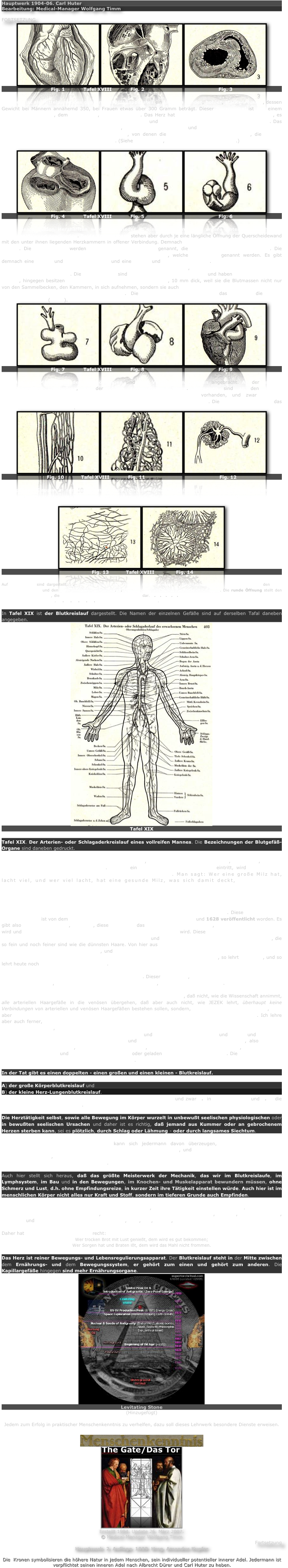 Hauptwerk 1904-06. Carl Huter
Bearbeitung: Medical-Manager Wolfgang Timm

FORTSETZUNG
￼￼￼
Fig. 1            Tafel XVIII            Fig. 2                                                Fig. 3

Das Herz ist als Mittelpunkt des ganzen Blutgefäßapparates ein länglich runder, hohler, starker Muskel, dessen Gewicht bei Männern annähernd 350, bei Frauen etwas über 300 Gramm beträgt. Dieser Herzmuskel ist von einem dünnhäutigen Sacke, dem Herzbeutel, eingeschlossen. Das Herz hat die Größe der Faust seines Besitzers, es liegt mitten in der Brust zwischen beiden Lungenflügeln und neigt mit seiner Spitze der linken Seite zu. Das Innere des Herzens ist mit einer sehr dünnen, zarten Haut überkleidet und wird der Länge nach durch eine muskulöse Scheidewand in zwei Hälften geteilt, von denen die eine venöses oder dunkelrotes, die andere artielles oder hellrotes Blut in sich aufnimmt. (Siehe Tafel XVIII, Herzen- und Kapillargefäße.)

￼￼￼
Fig. 4            Tafel XVIII            Fig. 5                                                Fig. 6

Jeder dieser beiden Herzhälften wird nun wieder in eine obere und eine untere Abteilung durch eine Querscheidewand geschieden. Beide Vorkammern stehen aber durch je eine längliche Öffnung der Querscheidewand mit den unter ihnen liegenden Herzkammern in offener Verbindung. Demnach enthält das Herz zusammen 2 X 2 = 4 Räume. Die zwei oberen werden Vorkammern oder Atrien genannt, die beiden unteren Herzkammern. Die beiden oberen Vorkammern haben ein sackartiges Anhängsel, welche Herzohren genannt werden. Es gibt demnach eine rechte und linke Vorkammer und eine rechte und linke Herzkammer. In die rechte Herzkammer münden die zwei Hohladern und die große Herz- oder Kranzblutader ein, in die linke Herzkammer gehen die vier Lungenblutadern über. Die Vorkammern sind die Sammelbecken des Blutes und haben daher mäßig dicke Wände, hingegen besitzen die Herzkammern starke Muskelwände, 10 mm dick, weil sie die Blutmassen nicht nur von den Sammelbecken, den Kammern, in sich aufnehmen, sondern sie auch durch kräftige Zusammenziehung in die Schlagadern oder Arterien weiter befördern. Die rechte Herzkammer treibt das Blut in die große Körperschlagader (Aorta).
￼￼￼
Fig. 7            Tafel XVIII            Fig. 8                                                Fig. 9

An allen vier Mündungen der Herzhöhlungen sind zum Verschließen Klappen angebracht. An der rechten Vorhofskammer dreizipflige, an der linken zweizipflige Klappen. Hingegen sind an den beiden Herzkammermündungen wagerechte halbmondförmige Taschenklappen vorhanden, und zwar an der Lungenschlagadermündung und an der Körperschlagadermündung je drei Stück. Die Klappen verhindern das Rückwärtsfließen des Blutes.
￼￼￼
Fig. 10           Tafel XVIII            Fig. 11                                                Fig. 12

Die zipfligen Klappen in den Vorkammern verhüten das Rückwärtsfließen des Blutes aus den Herzkammern und die halbmondförmigen Klappen der Herzkammern das Rückfließen aus den 12 großen Lungen- und Körperschlagadern.
￼￼
 Fig. 13           Tafel XVIII              Fig. 14

Auf Tafel XVIII sind dargestellt: 1. Vordere Ansicht des Herzens im Herzbeutel. 2. Sagittaldurchschnit des Herzens mit den zwei Vorkammern oben und den zwei Herzkammern unten. 3. Querdurchschnitt durch die Mitte des Herzens. Die runde Öffnung stellt den Innenraum der rechten, die längliche den der linken Herzkammer dar. 5. 6. 7. 8. 9. Entwicklungsstadien des Herzens vom Fötus bis zum neugeborenen Kinde. 10. 11. 12. 13. 14. Haar- und Kapillargefäßnetze.

In Tafel XIX ist der Blutkreislauf dargestellt. Die Namen der einzelnen Gefäße sind auf derselben Tafal daneben angegeben.
￼
Tafel XIX

Tafel XIX. Der Arterien- oder Schlagaderkreislauf eines vollreifen Mannes. Die Bezeichnungen der Blutgefäß-Organe sind daneben gedruckt.

Die Milz ist der Stoff- und Kraftspeicher der Lebenskraft, besonders enthält sie viel Eisen, Sauerstoff, Mangan und andere Substanzen in Bereitschaft. Sobald ein Mangel von Kraft und Stoff eintritt, wird die Milz die Quelle und Neuspenderin des Lebens und des Blutes. Man sagt: Wer eine große Milz hat, lacht viel, und wer viel lacht, hat eine gesunde Milz, was sich damit deckt, daß fröhliche Stimmung gesundes Blut bildet, Trauer das Blut krank macht. Man sieht, daß auch hier wieder Geistiges und Körperliches in Wechselwirkung und Übereinstimmung stehen.

Der Blutgefäßapparat ist doppelter Natur und im Kapillargefäßsystem sich verbindend. Diese Doppelart des Blutkreislaufes ist von dem englischen Arzt HARWEY im Jahre 1616 entdeckt und 1628 veröffentlicht worden. Es gibt also Schlagadergefäße, Arterien, diese enthalten das rote sauerstoffreiche Blut, das in der Lunge gebildet wird und vom Herzmuskel in die Schlagadern des Körpers geschlagen wird. Diese Schlagadern verzweigen sich überall in den inneren und äußeren Organen des Körpers und gehen in die feinsten Haargefäßnetze über, die so fein und noch feiner sind wie die dünnsten Haare. Von hier aus verbinden sich diese feinen artiellen Adernetze mit den venösen Blutaderhaargefäßen, und diese venösen Adern führen die Stoffwechselabsonderungen der Gewebe aus dem Körper zurück in die großen Venen oder Blutadern bis zum Herzen, so lehrt HARWEY, und so lehrt heute noch die offizielle Wissenschaft.

Ein Gegner dieser Lehre ist der Anatom Dr. med. JEZEK. Dieser behauptet, alle arteriellen Haargefäße münden nicht in die venösen, sondern verlaufen teils in den Geweben, teils in der äußeren Haut.

Ich stehe mit meiner Lehre in der Mitte beider Anschauungen und lehre, daß nicht, wie die Wissenschaft annimmt, alle arteriellen Haargefäße in die venösen übergehen, daß aber auch nicht, wie JEZEK lehrt, überhaupt keine Verbindungen von arteriellen und venösen Haargefäßen bestehen sollen, sondern, daß teils allerdings gar keine, teils aber wirklich nachweisbare Verbindungen zwischen den Kapillarien beider Adersysteme bestehen. Ich lehre aber auch ferner, daß das venöse Blut durchaus nicht mit allen schlechten Auswurf- oder Ballaststoffen zum Herzen zurückfließt, sondern daß auf dem Rückflusse überall die Auswurfstoffe teils von den Drüsen aufgesogen und zur Ausscheidung gebracht werden und besonders durch Darm und Niere und Haut die meisten schlechten Stoffe abgestoßen werden und nur mehr die gasigen Verbrauchsstoffe, also das mit Kohlensäure beladene Blut, zum Herzen zurückkehrt, von da in die Lungen getrieben, in dieser von Kohlensäure gereinigt und mit Sauerstoff gestärkt oder geladen zum Herzen zurückfließt. Die Kohlensäure des venösen Blutes wird also von der Lunge ausgeatmet.

In der Tat gibt es einen doppelten - einen großen und einen kleinen - Blutkreislauf.

A) der große Körperblutkreislauf und
B) der kleine Herz-Lungenblutkreislauf.
A und B zerfällt wieder in zwei verschiedene Gefäß- und Blutarten und zwar 1.  in die arteriellen und 2. in die venösen Blutstoffe und -Gefäße.

Die Herztätigkeit selbst, sowie alle Bewegung im Körper wurzelt in unbewußt seelischen physiologischen oder in bewußten seelischen Ursachen und daher ist es richtig, daß jemand aus Kummer oder an gebrochenem Herzen sterben kann, sei es plötzlich, durch Schlag oder Lähmung - oder durch langsames Siechtum.

In einer Tafel des fünften Lehrbriefes kann sich jedermann davon überzeugen, wie das sympathische Nervensystem aufs innigste mit allen Körperorganen verbunden ist, und im Herzen selber liegen Ganglien oder Nervenknoten, welche die Tätigkeit des Herzens günstig oder ungünstig beeinflussen können und die mit dem Bewußtsein in Beziehung stehen.

Auch hier stellt sich heraus, daß das größte Meisterwerk der Mechanik, das wir im Blutkreislaufe, im Lymphsystem, im Bau und in den Bewegungen, im Knochen- und Muskelapparat bewundern müssen, ohne Schmerz und Lust, d.h. ohne Empfindungsreize, in kurzer Zeit ihre Tätigkeit einstellen würde. Auch hier ist im menschlichen Körper nicht alles nur Kraft und Stoff, sondern im tieferen Grunde auch Empfinden.

Im Empfinden ist der Antrieb aller Bewegung und Liebe, Anfang und Fortgang alles Lebens. Daher ist die Hauptnahrung für das Leben die Liebe, sie ist so notwendig als die Lungennahrung, die Luft, die Hautatmung, das Licht und die Magendarmernährung mit Obst, Brot, Fett, Eiweiß, Wasser usw.

Daher hat der alte gute Volksspruch recht:
Wer trocken Brot mit Lust genießt, dem wird es gut bekommen;
Wer Sorgen hat und Braten ißt, dem wird das Mahl nicht frommen.

Das Herz ist reiner Bewegungs- und Lebensregulierungsapparat. Der Blutkreislauf steht in der Mitte zwischen dem Ernährungs- und dem Bewegungssystem, er gehört zum einen und gehört zum anderen. Die Kapillargefäße hingegen sind mehr Ernährungsorgane.
￼
Levitating Stone
(Hinzugefügt)
Jedem zum Erfolg in praktischer Menschenkenntnis zu verhelfen, dazu soll dieses Lehrwerk besondere Dienste erweisen.

￼
￼
Erstellt 1994. Update 26. März 2007.
© Medical-Manager Wolfgang Timm
Fortsetzung
Hauptwerk. 2. Auflage. 1929. Hrsg. Amandus Kupfer

Die  Kronen symbolisieren die höhere Natur in jedem Menschen, sein individueller potentieller innerer Adel. Jedermann ist verpflichtet seinen inneren Adel nach Albrecht Dürer und Carl Huter zu heben.